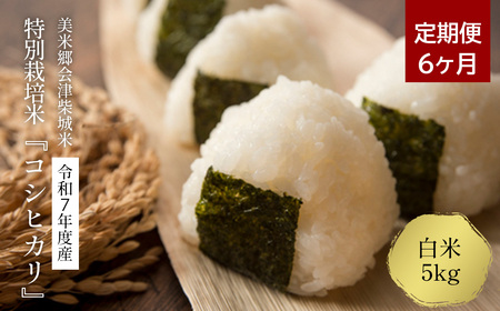 【定期便6ヶ月】令和7年産　特別栽培米コシヒカリ　白米　5kg×6回　精米仕立て発送　ＧＡＰ認証農園産　　美米郷会津柴城米【07208-0329】
