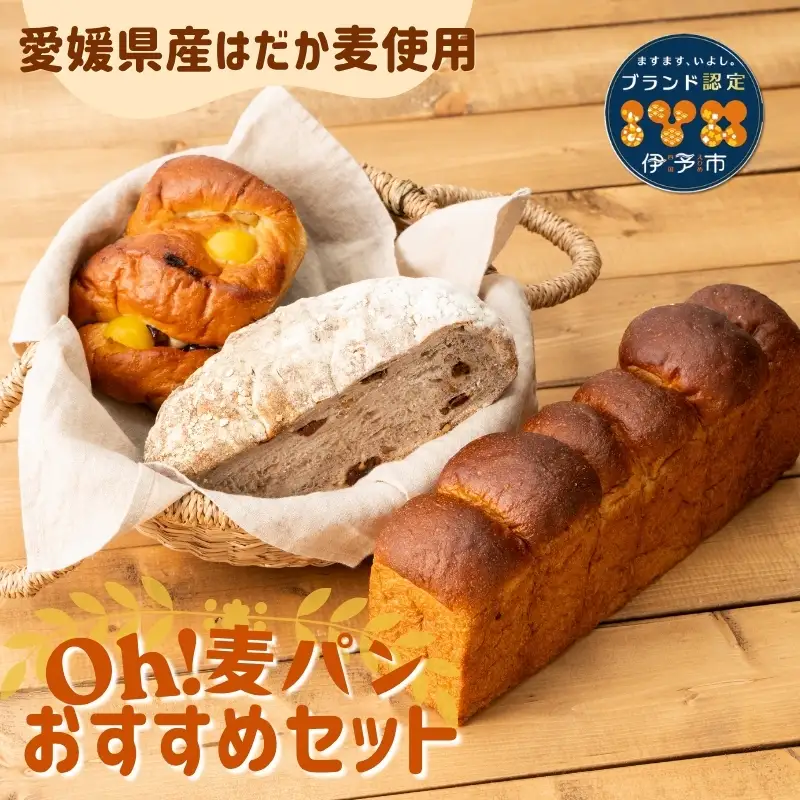 【愛媛県産大麦（はだか麦）使用】Ｏｈ！麦パン オススメセット パン 篠崎ベーカリー  詰め合わせ こだわり おすすめ 食べ比べ おやつ 朝ごはん 伊予市 老舗 | A76
