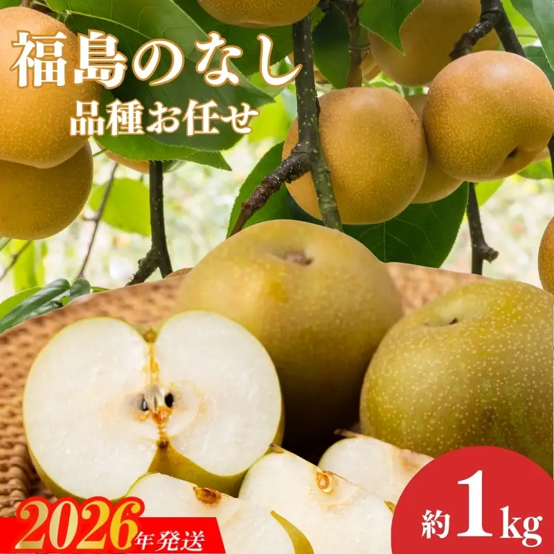 No.3018 福島のなし 品種お任せ 約1kg【2026年発送】