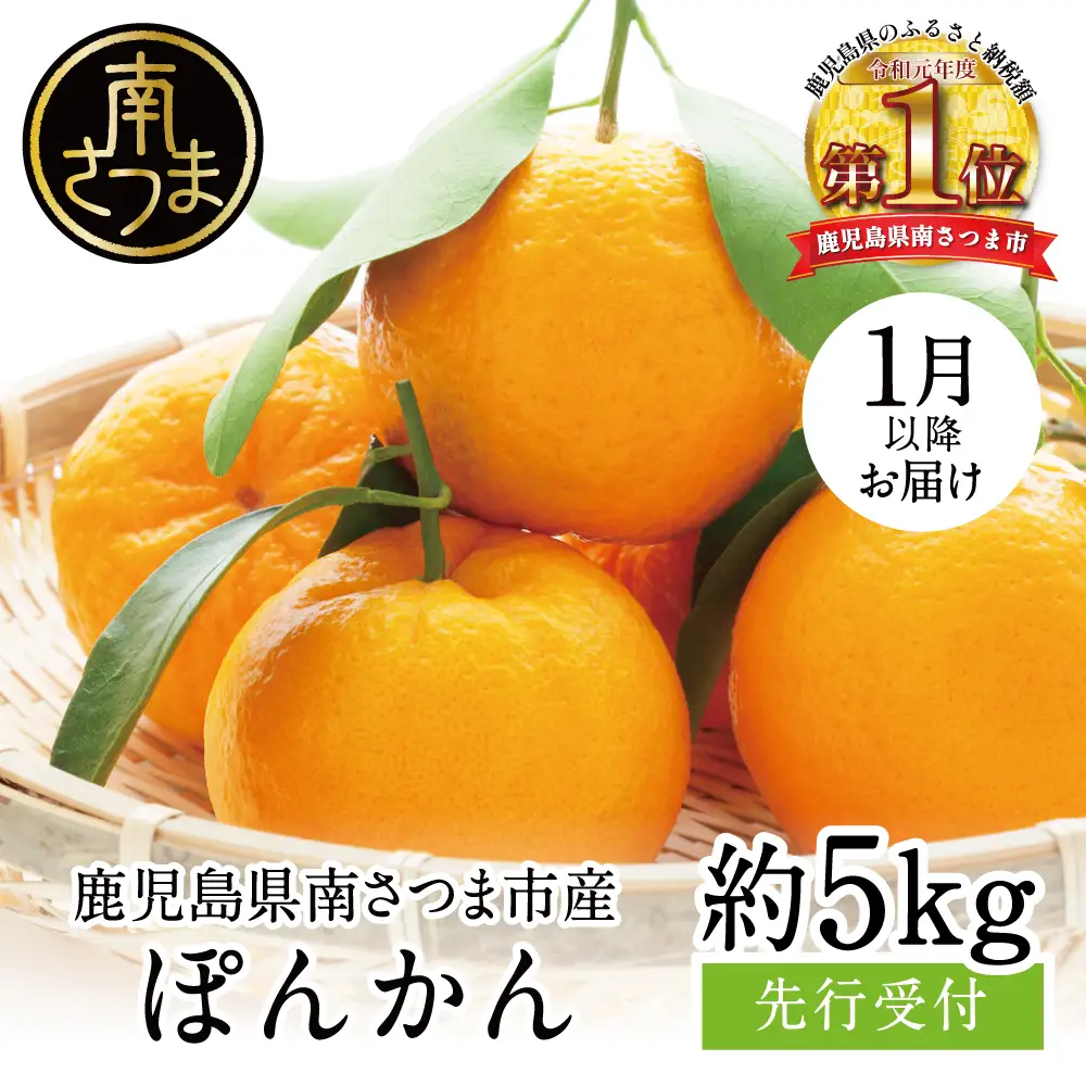 【2027年1月発送】数量限定！ぽんかん 約5kg ポンカン 果物 フルーツ 柑橘 みかん 鹿児島県産