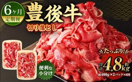 【6ヶ月定期便】豊後牛 切り落とし 約800g (約400g×2) × 6回 合計約4.8kg 定期便 牛肉 大分県産 国産 焼肉 ステーキ 霜降り【2025年2月発送開始】