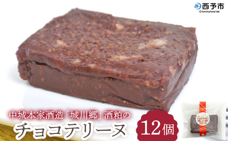 ＜中城本家酒造「城川郷」酒粕のチョコテリーヌ 12個＞ とろんと滑らか食感 お酒好き お菓子 焼き菓子 洋菓子 おやつ デザート お取り寄せ 詰合せ 詰め合わせ 個包装 美味しい ギフト スイーツ工房絹 愛媛県 西予市【冷凍】『1か月以内に順次出荷予定』NSK0008