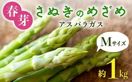 【先行予約2027年2月中旬～2027年6月下旬頃お届け】春芽 さぬきのめざめアスパラガス Mサイズ 約1kg F5J-766