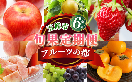 【 定期便 6 回 】 フルーツ の 都 五條市 を 代表 する 果物 定期便 ～季節 の 果物 ～ 6回 定期便 |  りんご いちご 柿 桃 ぶどう 