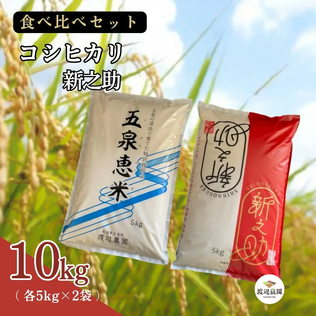 令和8年先行予約 お米食べ比べセット 10kg（コシヒカリ5kg、新之助5kg） | 新潟県産米
