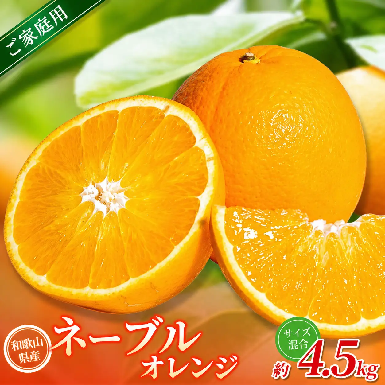 【家庭用】 森本農園の手選別ネーブルオレンジ 約4.5kg 和歌山県産 サイズ混合 【北海道・沖縄・離島配送不可】【2027年1月上旬～2月中旬頃に順次発送】【RN17】【BV90017-mrmt017】