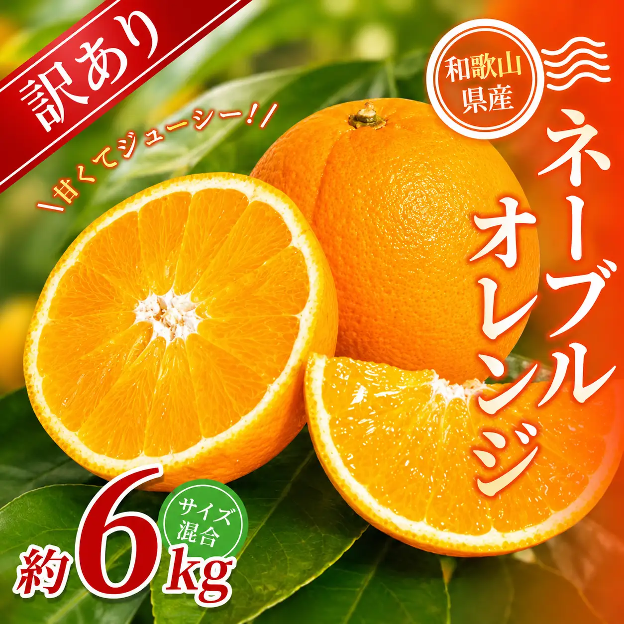 【訳あり】 森本農園の手選別ネーブルオレンジ 約6kg 和歌山県産 サイズ混合 【北海道・沖縄・離島配送不可】【2027年1月上旬～2月中旬頃に順次発送】【RN19】【BV90019-mrmt019】