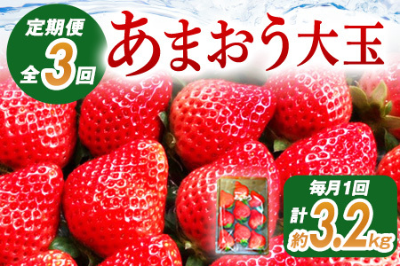 あまおう（大玉）、4パック×3回（1月、2月、3月）定期便（270g/パック）CT002