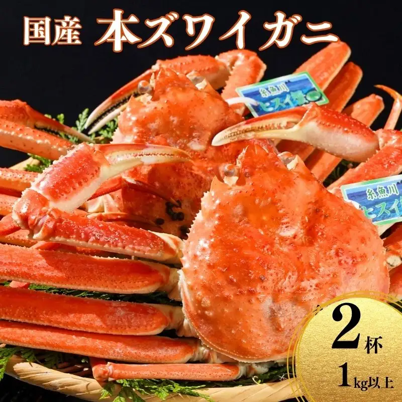 〈期間限定〉本ズワイガニ 500g以上×2杯 計1kg以上 姿 茹で蟹 糸魚川産 鮮度が命！茹でたて直送 ずわいがに かに 蟹 ヒスイ水産 国産 日本海 新潟 新鮮 タグ付き 11月から漁開始 ギフトにも おススメ カニ ヒスイ蟹