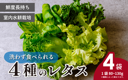 4種のレタス 4袋(80～130g/袋) | レタス