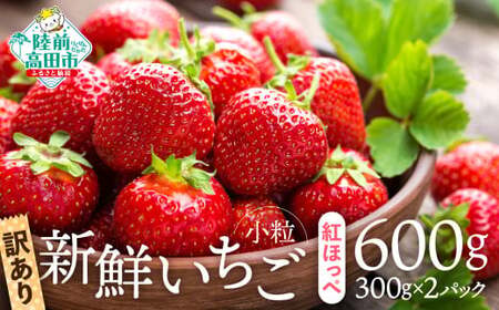 先行予約 【訳あり/小粒】新鮮いちご〈品種：紅ほっぺ〉 約600g (300g×2パック) Happy Strawberry 旬の時期に収穫してすぐ発送！ 【 いちご フルーツ 旬 小分け 人気 岩手 陸前高田 】2025年2月中旬頃から順次発送 RT2655