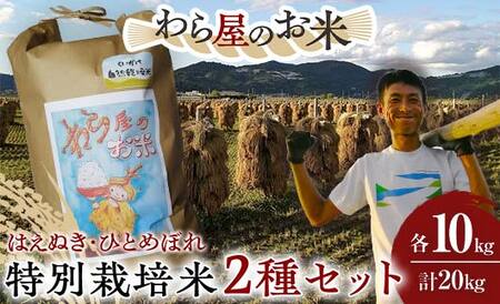 【わら屋のお米】 令和7年産 特別栽培米2種セット 「はえぬき・ひとめぼれ」 各10kg (計20kg) 『おがわ藁農園』 米 白米 精米 ご飯 農家直送 セット 食べ比べ 山形県 南陽市 [2169]
