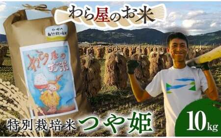 【わら屋のお米】 令和7年産 特別栽培米 つや姫 10kg 『おがわ藁農園』 米 白米 精米 ご飯 農家直送 山形県 南陽市 [2168]