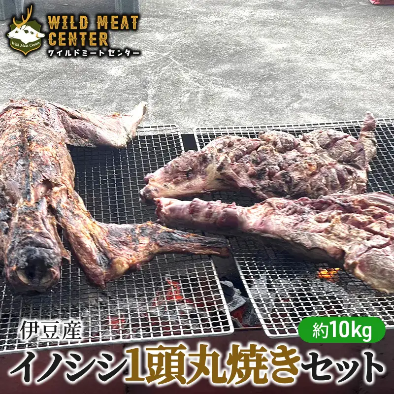 【伊豆産イノシシ肉】イノシシ1頭丸焼きセット猪肉 イノシシ肉 ジビエ 高タンパク 高たんぱく 低カロリー 低脂肪 肉 お肉 山の幸