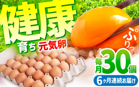 元気卵 30個 卵 [AMBH003]【6回定期便】