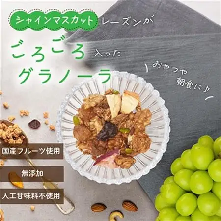 無添加 グラノーラ 桃 シャインマスカット ドライフルーツ入 60g×2袋 シリアル オートミール【1575351】