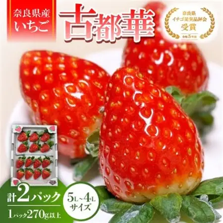 【2027年1月以降発送】《希少品》奈良県産いちご「古都華」大粒(5L～4Lサイズ )2パック_果物・フルーツ いちご  イチゴ 苺_【配送不可地域：離島】【1556701】