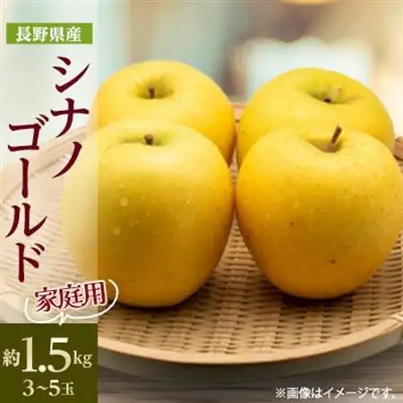 【家庭用】 長野県産 りんご シナノゴールド 約1.5kg(3～5玉程度)【1574743】