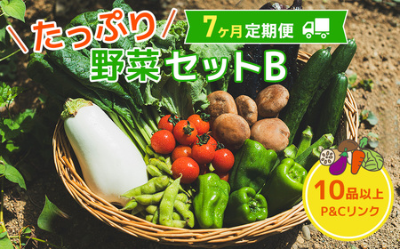 【 7ヶ月 定期便 】野菜セット 10品 季節 旬 野菜 詰め合せ 定期 国産 季節 旬 おまかせ 産地直送 春野菜 夏野菜 秋野菜 きのこ 葉物 果物 果菜 根菜 冷蔵 野菜室 ダイエット 食 栄養食 加工品 カット野菜 岩手県産 北上産 季節限定 山菜 ブロッコリー たまねぎ さつまいも とうもろこし サラダ トマト しいたけ アスパラガス 送料無料 岩手県 北上市 J0159 P＆Cリンク