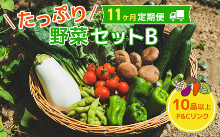 【 11ヶ月 定期便 】野菜セット 10品 季節 旬 野菜 詰め合せ 定期 国産 季節 旬 おまかせ 産地直送 春野菜 夏野菜 秋野菜 きのこ 葉物 果物 果菜 根菜 冷蔵 野菜室 ダイエット 食 栄養食 加工品 カット野菜 岩手県産 北上産 季節限定 山菜 ブロッコリー たまねぎ さつまいも とうもろこし サラダ トマト しいたけ アスパラガス 送料無料 岩手県 北上市 L0097 P＆Cリンク