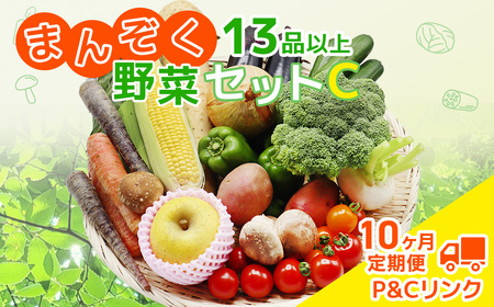 【 10ヶ月 定期便 】 野菜セット 13品 季節 旬 野菜 詰め合せ 定期 国産 季節 旬 おまかせ 産地直送 春野菜 夏野菜 秋野菜 きのこ 葉物 果物 果菜 根菜 冷蔵 野菜室 ダイエット 食 栄養食 加工品 カット野菜 岩手県産 北上産 季節限定 山菜 ブロッコリー たまねぎ さつまいも とうもろこし サラダ トマト しいたけ アスパラガス 送料無料 岩手県 北上市 Q0220 P＆Cリンク