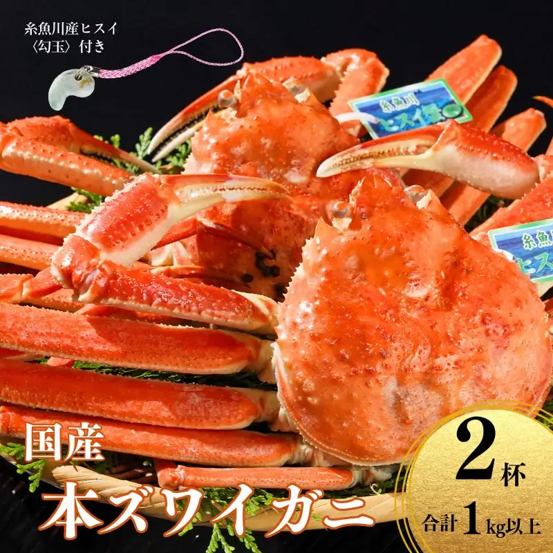 〈期間限定〉本ズワイガニ 500g以上×2杯 計1kg以上 《ヒスイ勾玉付き》 姿 茹で蟹 糸魚川産 鮮度が命！茹でたて直送 ずわいがに かに 蟹 ヒスイ水産 国産 日本海 新潟 新鮮 タグ付き 11月から漁開始 ギフトにも おススメ カニ ヒスイ蟹 まがたま