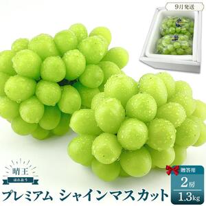 プレミアム　シャインマスカット　晴王 2房　約1.3kg　｜ シャインマスカット