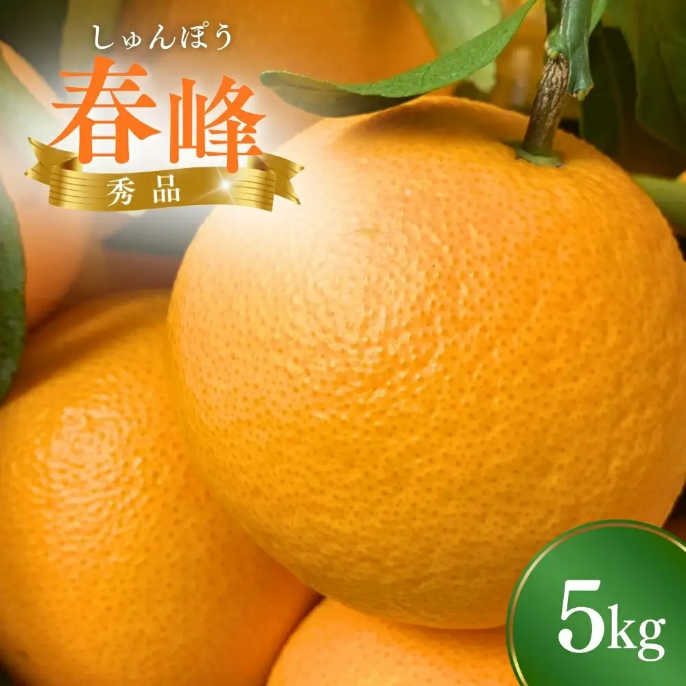 【先行予約】 春峰（しゅんぽう/はるかぜ） 5kg （2027年2～3月頃から順次発送予定） / みかん 和歌山蜜柑 和歌山ミカン 高級みかん 人気みかん みかんランキング 果物 くだもの フルーツ 柑橘 蜜柑 産地直送 国産 和歌山 【tcs010】