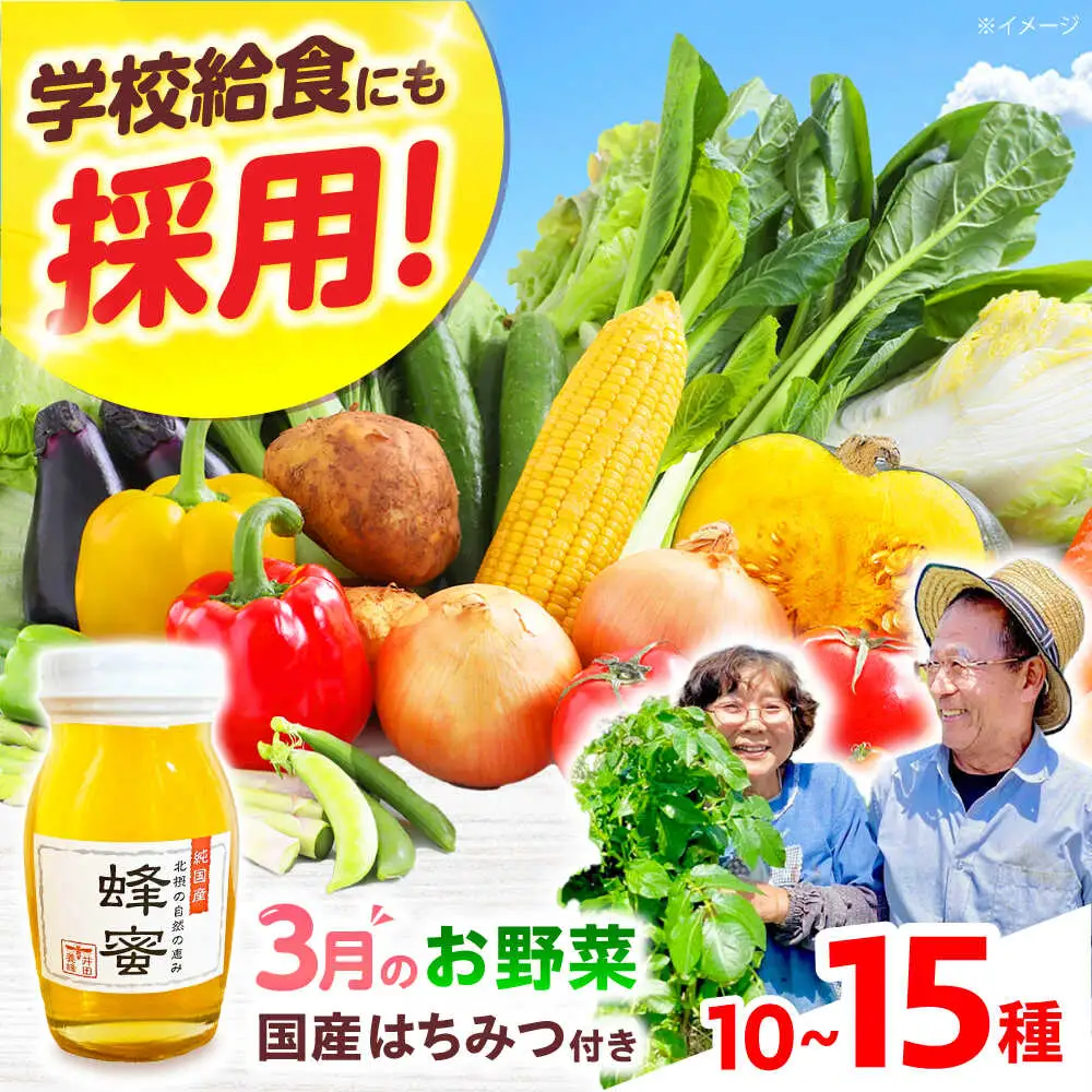 高槻野菜詰め合わせ 3月（10〜15種）＆はちみつ セット[AOCS022]野菜セット