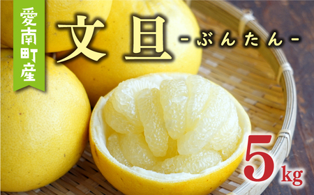 先行予約 文旦 5kg （ Lサイズ 以上 ） 10000円 ぶんたん みかん mikan 蜜柑 ミカン 産地直送 国産 農家直送 糖度 期間限定 数量限定 特産品 ギフト プレゼント ゼリー ジュース アイス 人気 限定 甘い 果実 果肉 フルーツ 果物 柑橘 先行 事前 予約 受付 ビタミン 健康 美味しい おいしい ジューシー サイズ ミックス あいなんマザーズ 愛南町 愛媛県