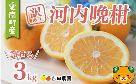 訳あり 河内晩柑 愛南ゴールド 3kg 河内晩柑 吉田農園