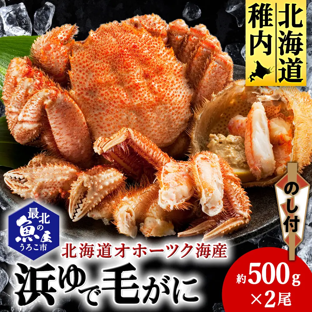 【のし付き】北海道オホーツク海産 浜ゆで毛がに　約500g×2尾【配送不可地域：離島】