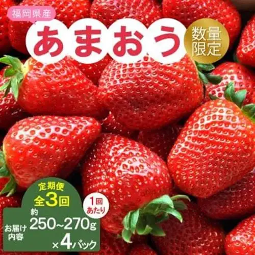 【発送月固定定期便】福岡県産あまおう約250~270g×4パック全3回_果物・フルーツ いちご  イチゴ 苺  定期便 定期便  _【配送不可地域：離島】【4061046】