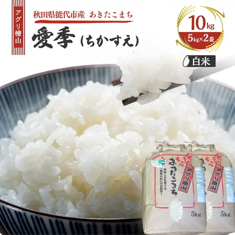 令和7年産 あきたこまち 秋田県産 白米 アグリ檜山米 あきたこまち【10kg(5kg×2袋)】