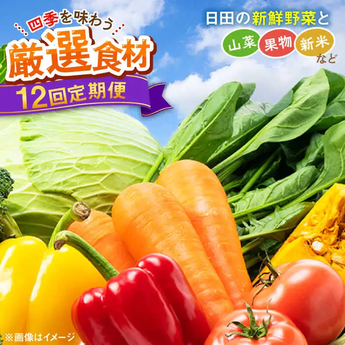 【全12回定期便】農家セレクト！特別栽培 日田の厳選食材 詰め合わせ 日田市 野菜 果物 米 産地直送 新鮮 セット[ARBR002]