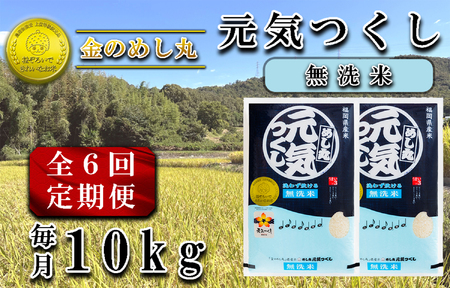 CE-091_【定期便６回】令和8年米〈無洗米〉金のめし丸元気つくし　10Kg（５kg×２袋）