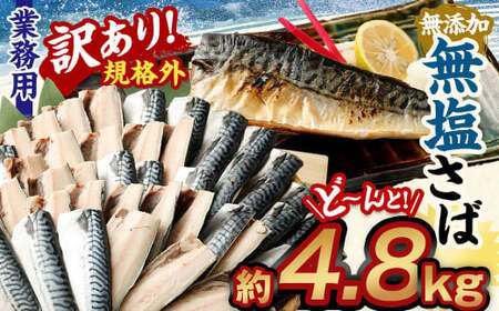 【訳あり規格外】  業務用 無添加 無塩さば どーんと! 4.8kg 鯖 さば サバ 魚 お魚 さかな 魚介 魚介類