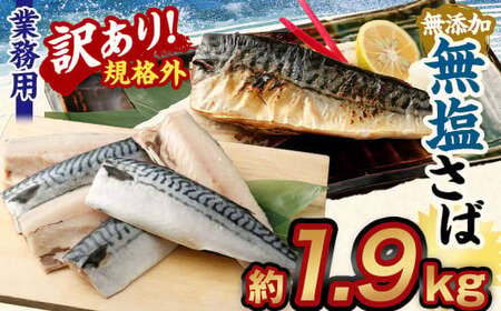 【訳あり規格外】  業務用 無添加 無塩さば 1.9kg 鯖 さば サバ 魚 お魚 さかな 魚介 魚介類