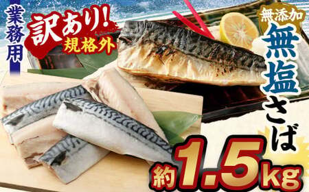 【訳あり規格外】  業務用 無添加 無塩さば 1.5kg 鯖 さば サバ 魚 お魚 さかな 魚介 魚介類