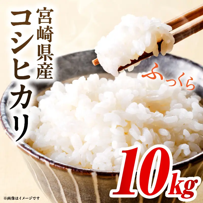 令和7年度産 宮崎県産コシヒカリ 10kg（5kg×2袋）米 こめ お米 白米 精米 こしひかり コシヒカリ ブランド米 ご飯 御飯 ごはん 国産米 早場米 宮崎県産