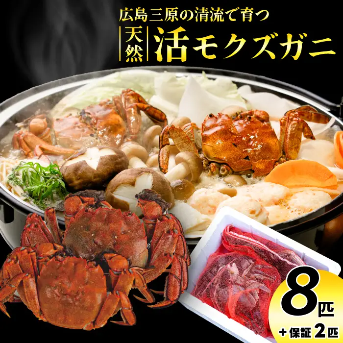 【数量限定】広島県産 天然 活モクズガニ8匹＋2匹 2026年12月頃発送予定 天然 国産  藻屑蟹 川蟹 川ガニ 上海蟹  唐揚げ 味噌汁 蒸し 茹で ボイル レシピ付き 117022