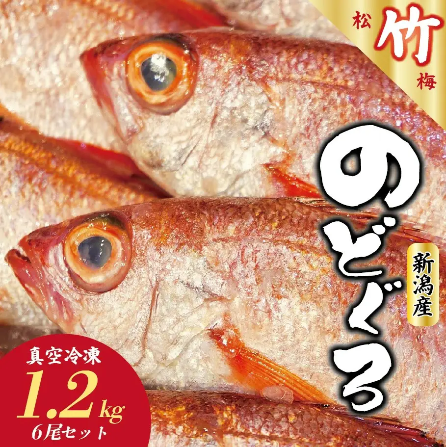 ノドグロ 6尾セット 1尾 約200g のどぐろ のどぐろ のどぐろ のどぐろ uomizushima004_01