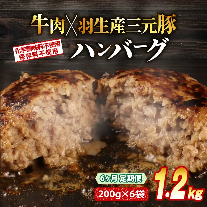 定期便 6回 ハンバーグ 1.2kg 個包装 ギフト お歳暮 大判ハンバーグ