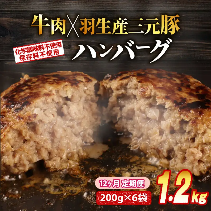 定期便 12回 ハンバーグ 1.2kg 個包装 ギフト お歳暮 大判ハンバーグ