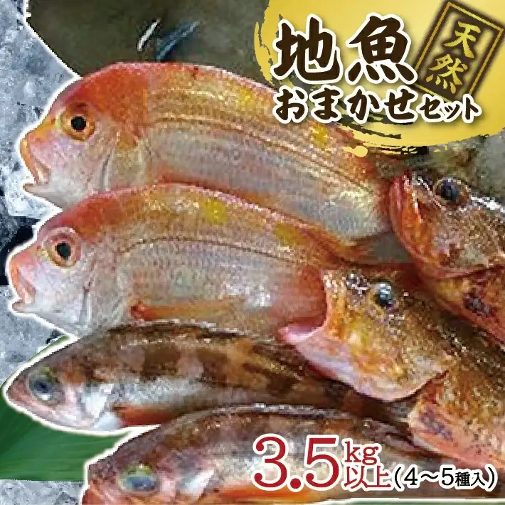地魚おまかせセット 4～5種類入り 計3.5kg以上 冷蔵便 ※着日指定・離島（沖縄県を含む）への発送不可 東北 山形県 遊佐町 庄内地方 鮮魚 詰合せ 産地直送 新鮮 [1621]