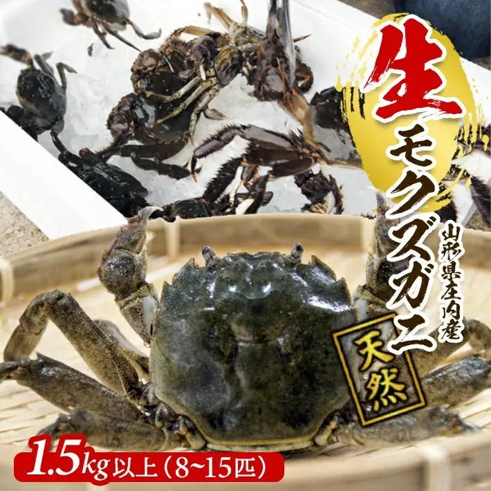 生・天然モクズガニ 1.5kg以上 8～15匹 オス・メス混合 山形県庄内産 9月中旬～12月上旬頃順次発送 冷蔵便 ※着日指定・離島（沖縄県を含む）発送不可 カニ 蟹 かに 川ガニ 新鮮 鮮魚 まるごと 姿 カニみそ 味噌汁 蒸し蟹 期間限定 お取り寄せ おうち時間 [849]