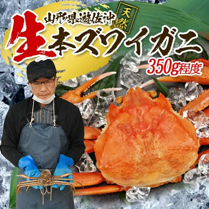 生・本ズワイガニ 1匹 350g程度 遊佐沖 10月中旬～12月下旬頃お届け 冷蔵便 ※着日指定・離島（沖縄県を含む）発送不可 1人前 東北 山形県 庄内地方 日本海 カニ 蟹 かに 海産物 シーフード 海鮮 新鮮 鮮魚 まるごと 生食 刺身 ボイル 期間限定 [852]