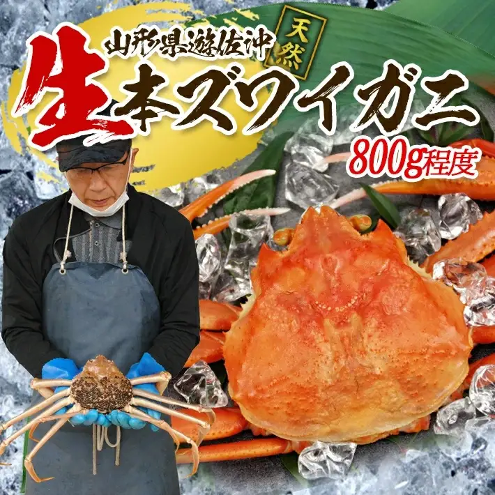 生・本ズワイガニ 1匹 800g程度 遊佐沖 10月中旬～12月下旬頃お届け 冷蔵便 ※着日指定・離島（沖縄県を含む）発送不可 2人前 3人前 東北 山形県 庄内地方 日本海 カニ 蟹 かに 海産物 シーフード 海鮮 新鮮 鮮魚 まるごと 生食 刺身 ボイル 焼き 期間限定 [855]