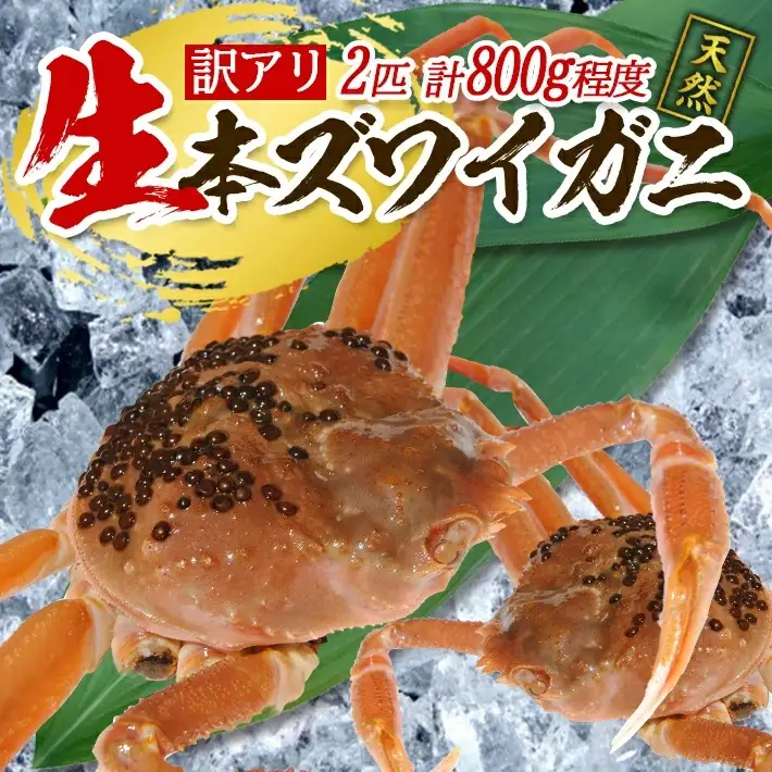 訳あり 生・本ズワイガニ 2匹 計800g程度 1～2本足折れ 遊佐沖 10月中旬～12月下旬頃お届け 冷蔵便 ※着日指定・離島（沖縄県を含む）発送不可 わけあり 訳アリ ワケアリ ワケあり カニ 蟹 かに 海産物 海鮮 新鮮 まるごと 生食 刺身 ボイル 期間限定 [856]