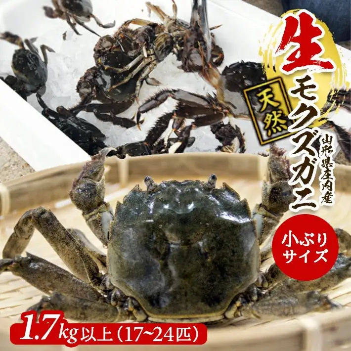 生・天然モクズガニ 1.7kg以上 小ぶりサイズ 17～24匹 オス・メス混合 山形県庄内産 9月中旬～12月上旬頃順次発送 冷蔵便 ※着日指定・離島（沖縄県を含む）発送不可 カニ 蟹 かに 川ガニ 新鮮 鮮魚 まるごと 姿 カニみそ 味噌汁 蒸し蟹 期間限定 [972]